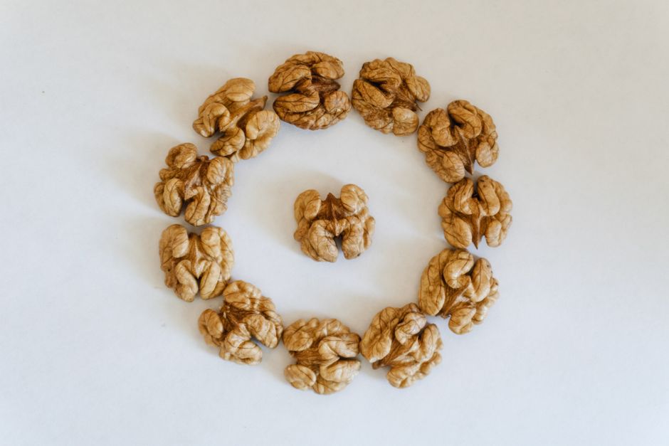 A collection of twenty-one walnut halves arranged in a concentric circle on a plain white surface, with one walnut centered inside the circle. The walnuts are natural light brown with textured shells. The background is uncluttered, highlighting the walnuts' shape and surface detail. The scene is evenly lit, with soft shadows cast beneath the walnuts, suggesting a neutral indoor environment. This arrangement may represent packaging or sorting of food items during packing for house removals, illustrating careful handling and organization of fragile objects, concepts relevant to home relocation services provided by Man and Van Cranford. The composition emphasizes attention to detail in packing and moving logistics, with a focus on fragility and careful transport of small, vital items.